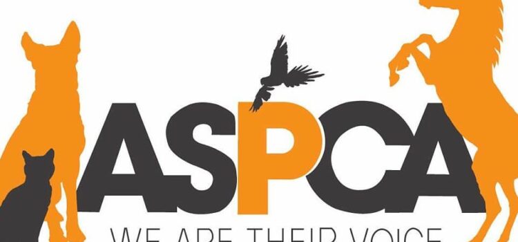 American Society for the Prevention of Cruelty to Animals (ASPCA) History