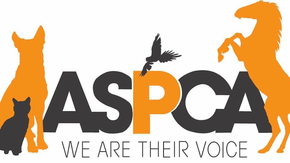 American Society for the Prevention of Cruelty to Animals (ASPCA) History -  BioDev