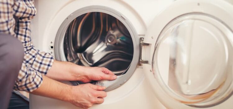 Home Appliances Repair & Maintenance: Fixing Washing Machine After Pet Hair Damage